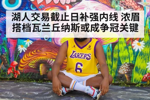 湖人交易截止日补强内线 浓眉搭档瓦兰丘纳斯或成争冠关键