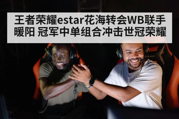 王者荣耀estar花海转会WB联手暖阳 冠军中单组合冲击世冠荣耀